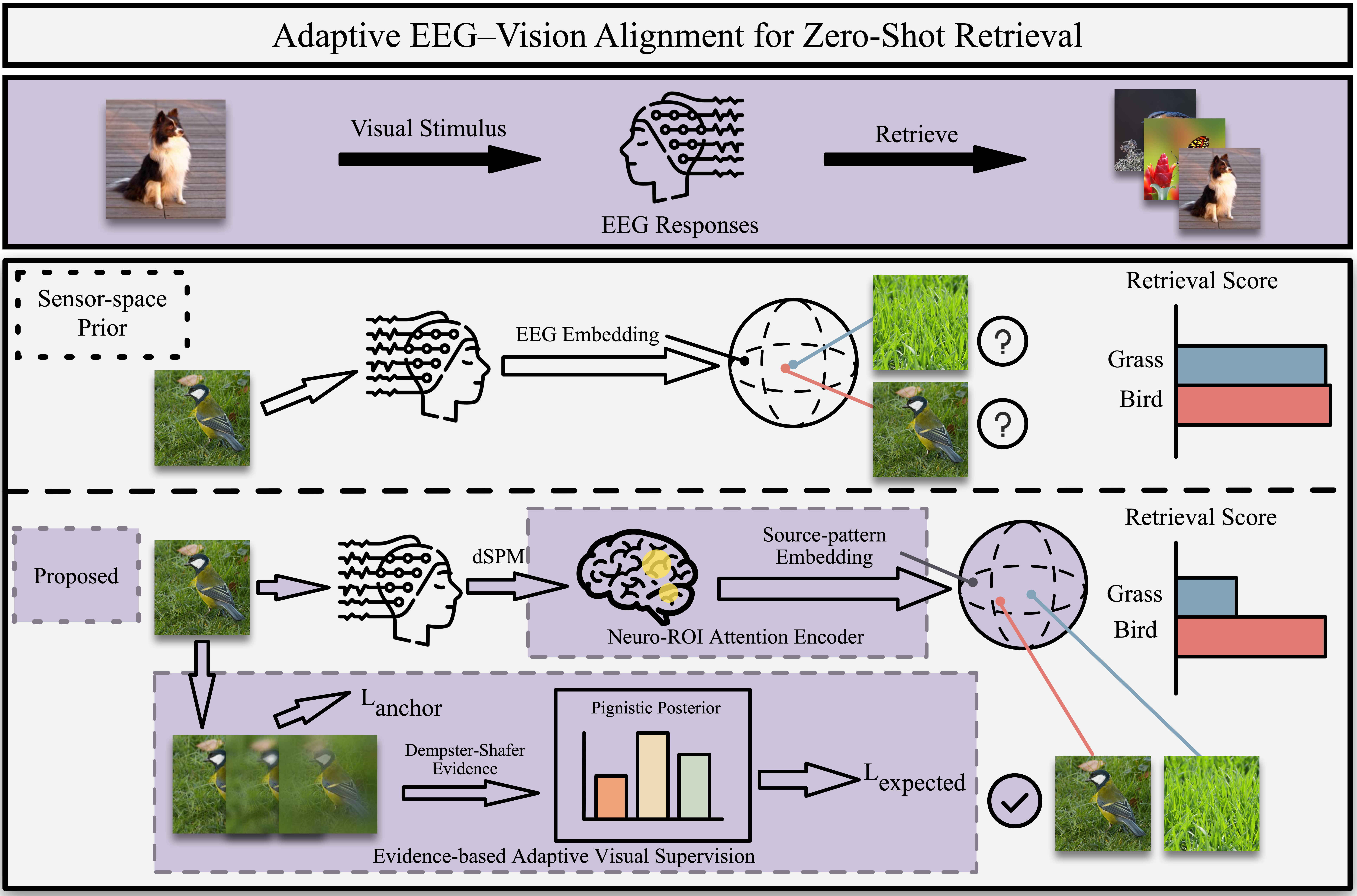 Adaptive Cortically Constrained EEG-Vision Alignment for Zero-Shot Brain-to-Image Retrieval