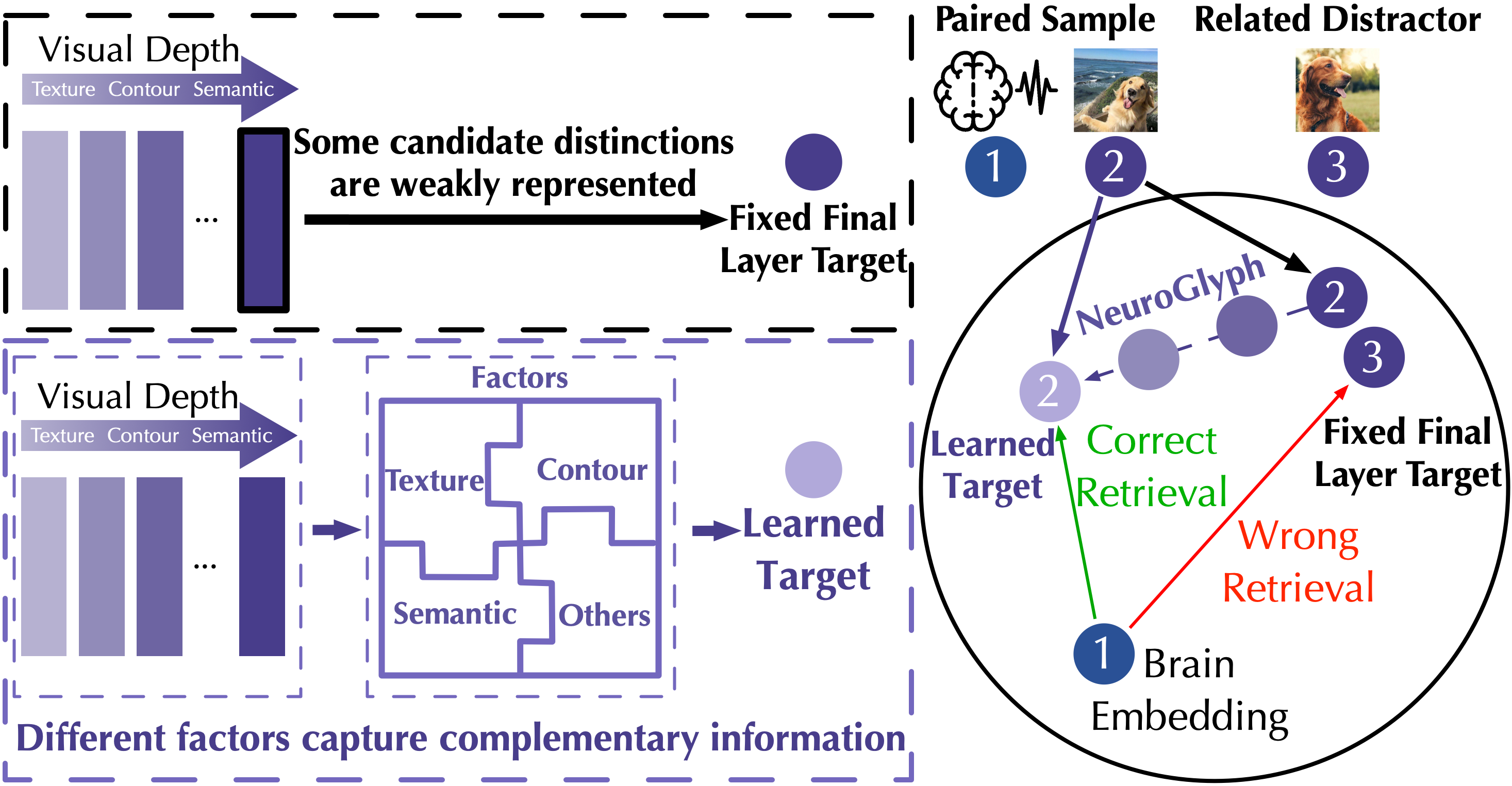 The Visual Target Matters: Learning across the Visual Hierarchy for Brain-to-Image Retrieval